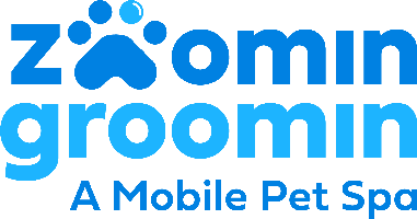 Zoomin Groomin NE Marietta